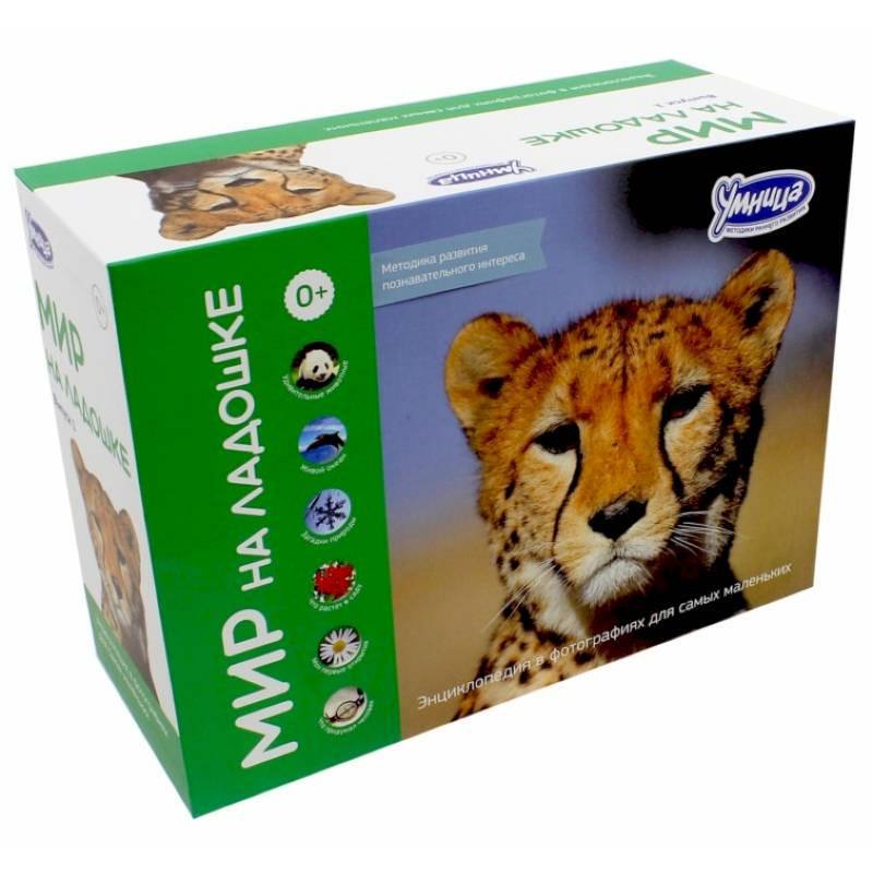 Мир на ладошке. Выпуск 1 (2001)