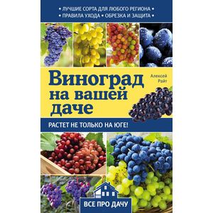 Виноград на вашей даче. Растет не только на юге!