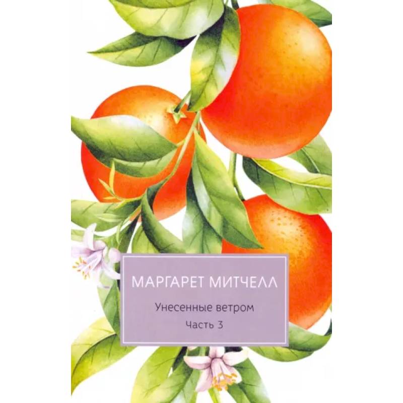 Унесенные ветром. Часть 3