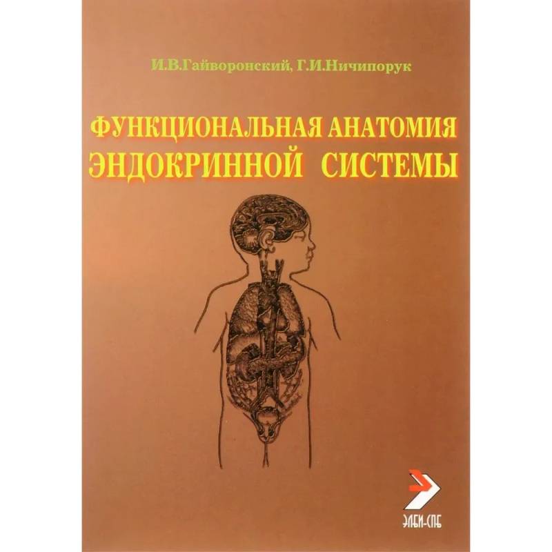 Функциональная анатомия эндокринной системы: Учебное пособие. 10-е издание