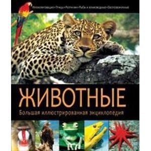 Животные
