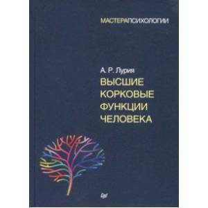 Высшие корковые функции человека Высшие корковые функции человека