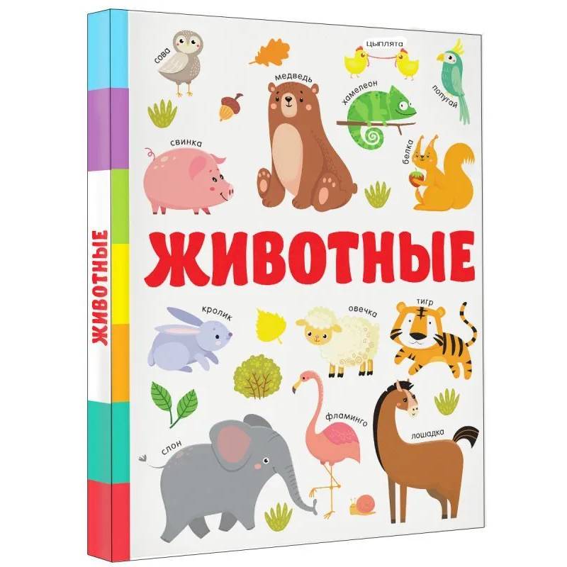 Животные Животные