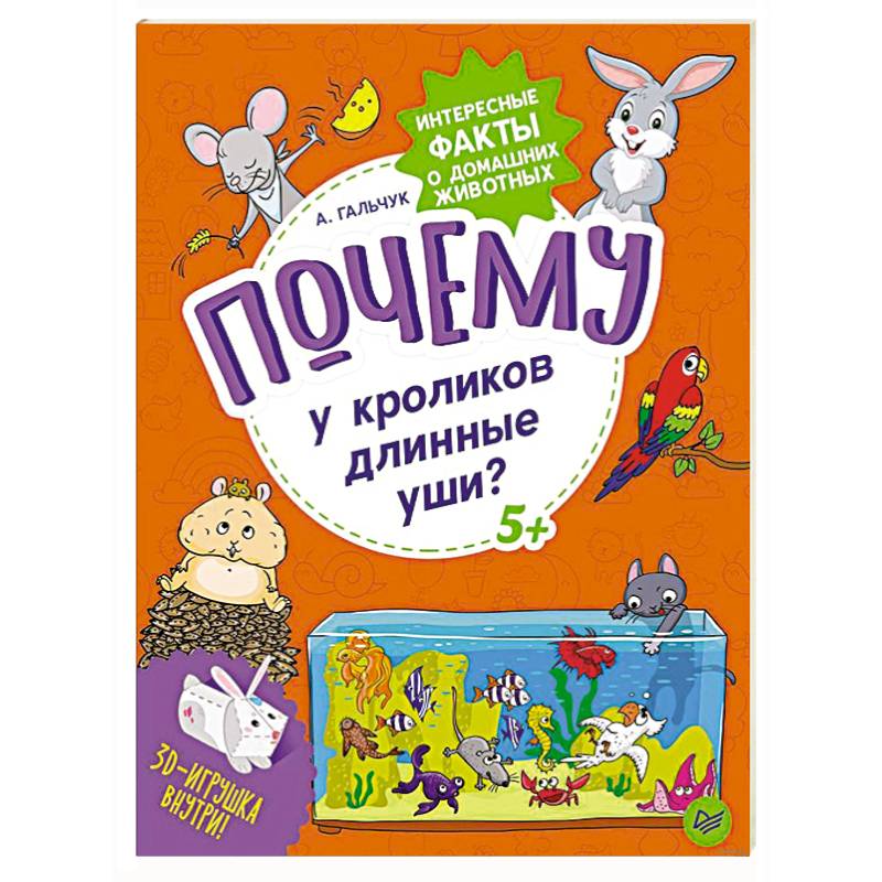 Почему у кроликов длинные уши? Интересные факты о домашних животных