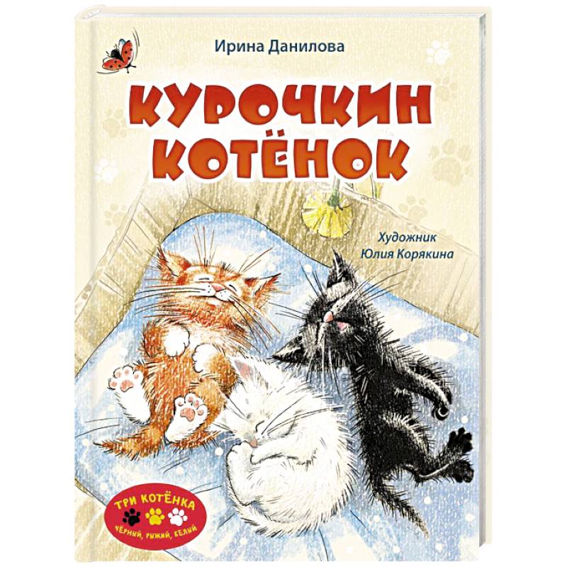 Курочкин котенок