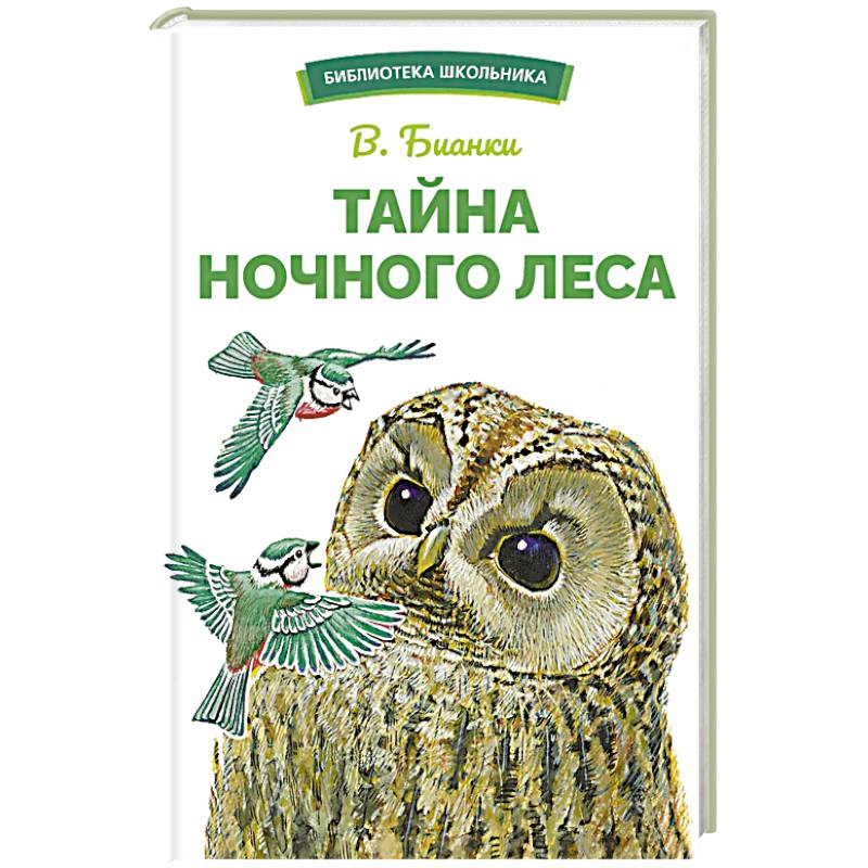 Тайна ночного леса Тайна ночного леса