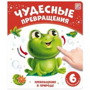 Превращения в природе Превращения в природе