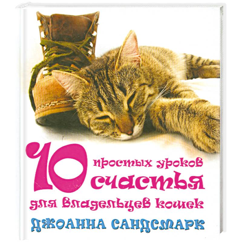 10 простых уроков счастья для владельцев кошек