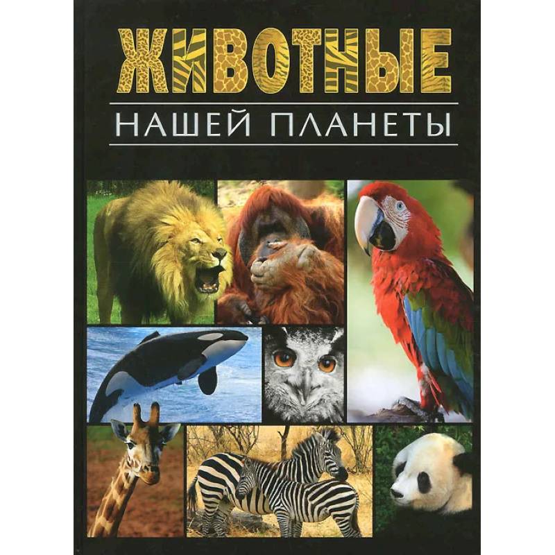 Животные нашей планеты Животные нашей планеты