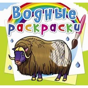 Водные раскраски. Животные Севера