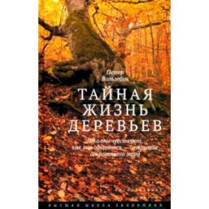 Тайная жизнь деревьев. Что они чувствуют, как они общаются - открытие сокровенного мира