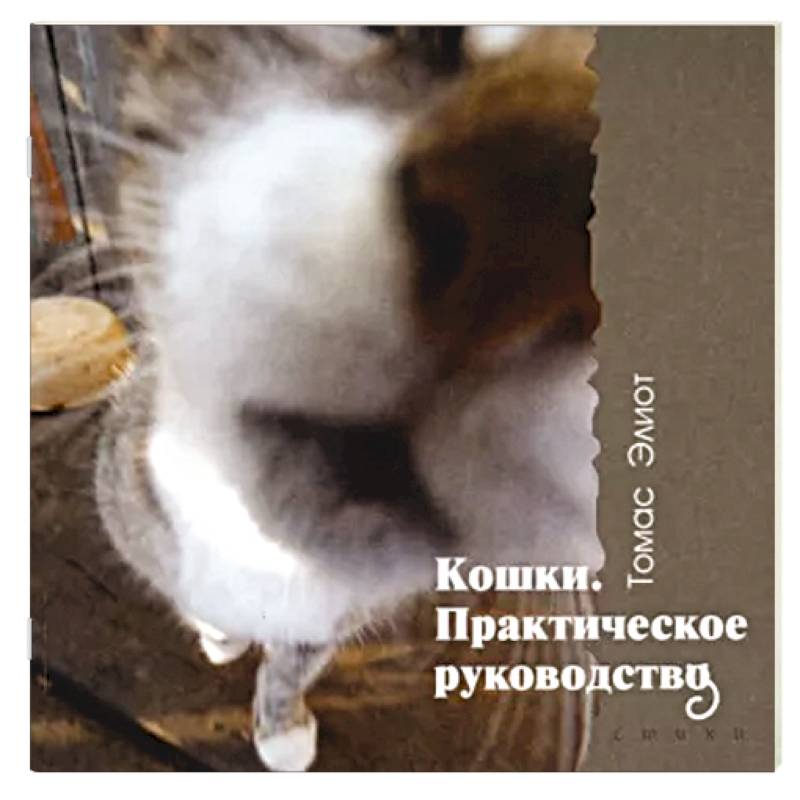 Кошки. Практическое руководство