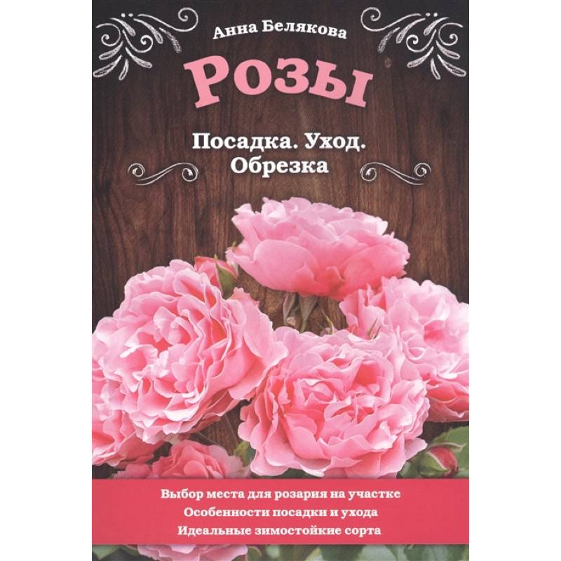 Розы. Посадка. Уход. Обрезка