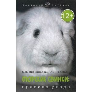 Морские свинки: правила ухода