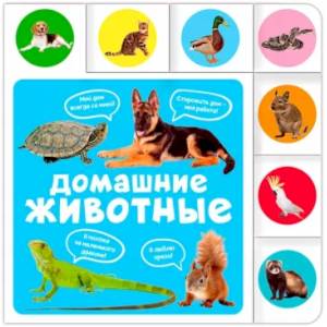 Домашние животные Домашние животные