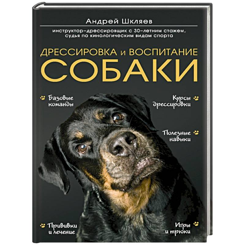 Дрессировка и воспитание собаки