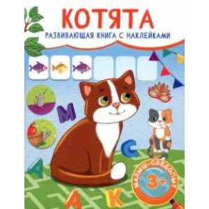 Котята Котята