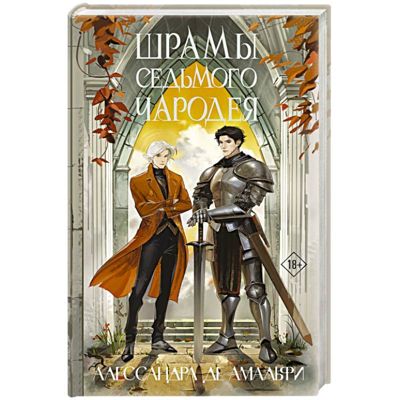 Шрамы седьмого чародея