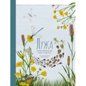 Лужа. Открываем многообразие мира, скрытого от нашего взора