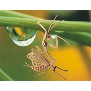 Сборная модель 'Богомол'