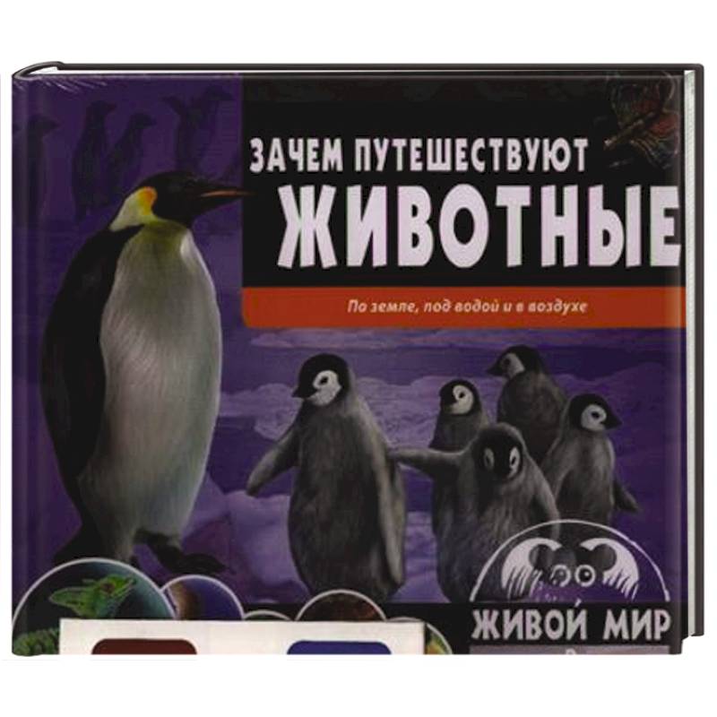 Зачем путешествуют животные