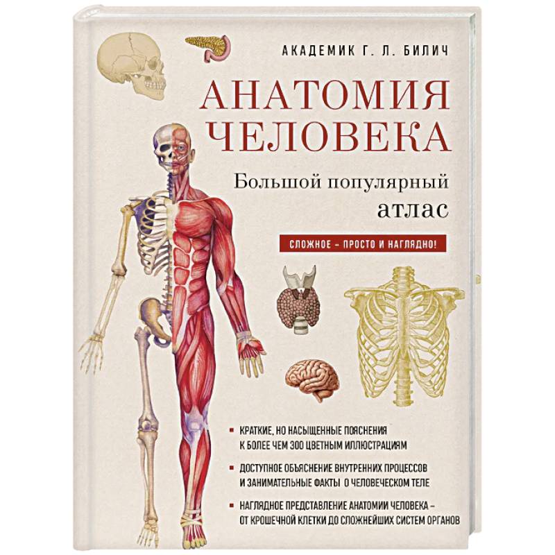 Анатомия человека: большой популярный атлас