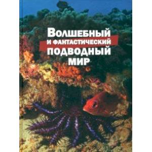 Волшебный и фантастический подводный мир Волшебный и фантастический подводный мир
