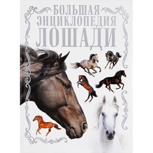 Лошади. Большая энциклопедия