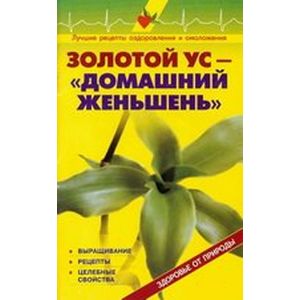 Золотой ус - домашний женьшень