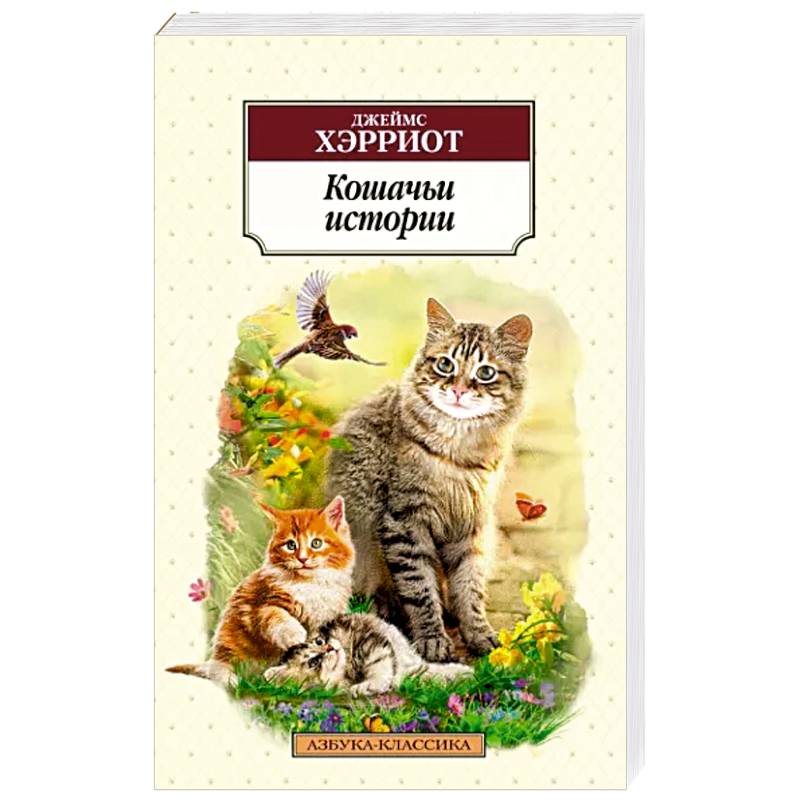 Кошачьи истории