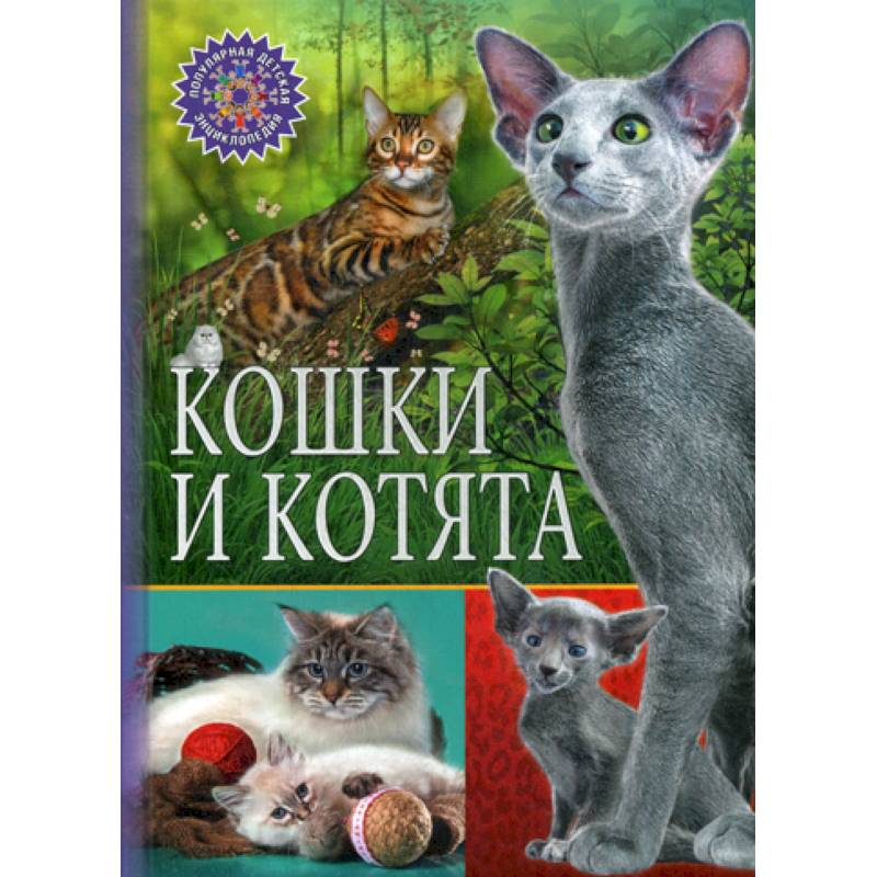 Кошки и котята