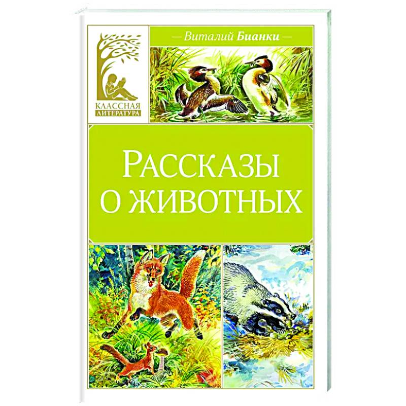Рассказы о животных Рассказы о животных