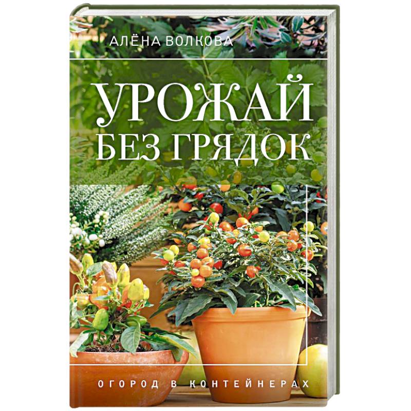 Урожай без грядок. Огород в контейнерах