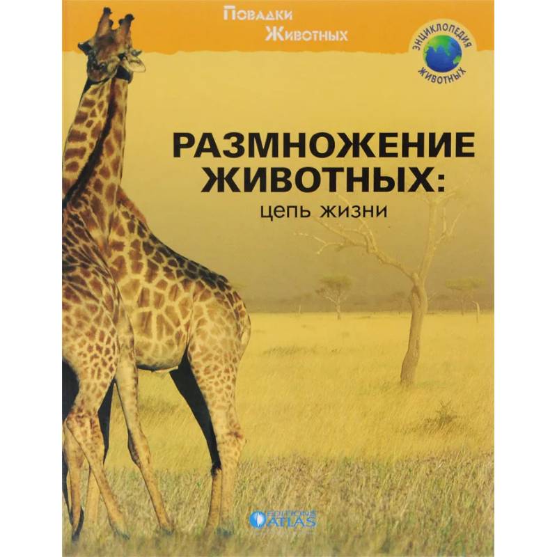 Размножение животных: цепь жизни Размножение животных: цепь жизни