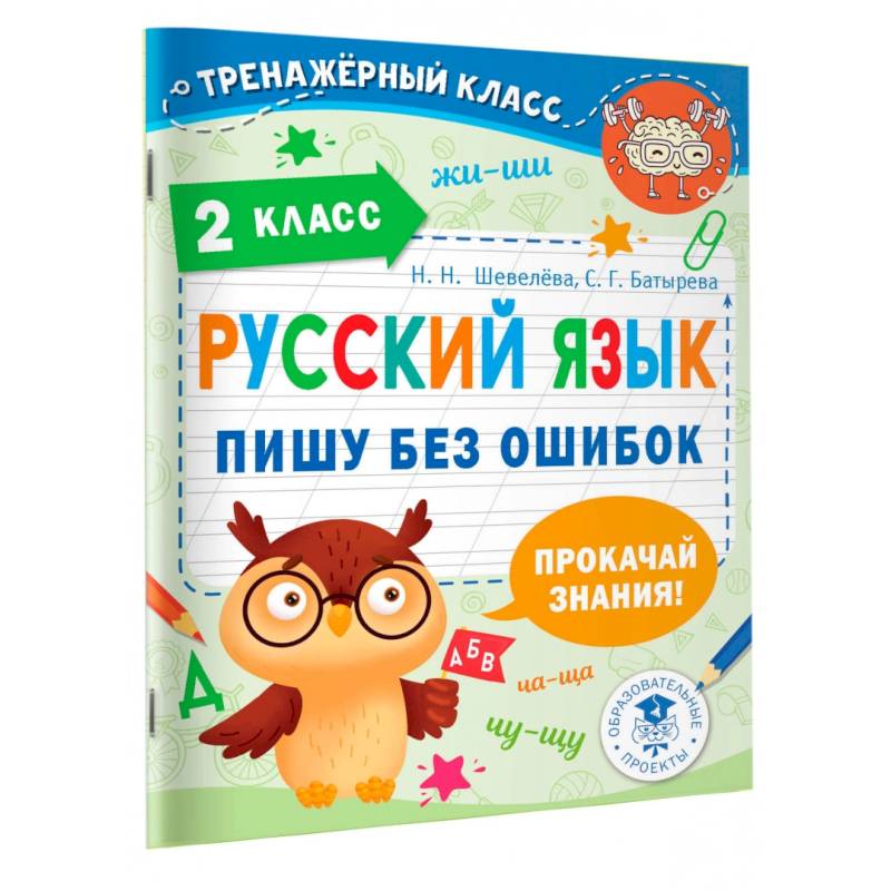 Русский язык. Пишу без ошибок. 2 класс Русский язык. Пишу без ошибок. 2 класс