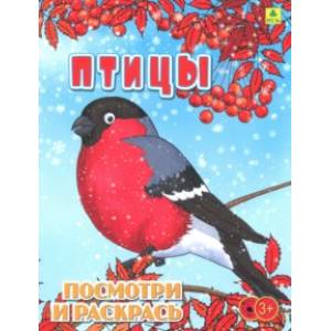 Птицы. Детская раскраска Птицы. Детская раскраска