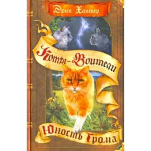 Юность Грома