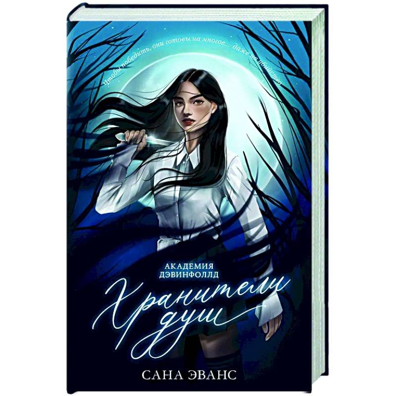 Хранители душ. Академия Дэвинфоллд