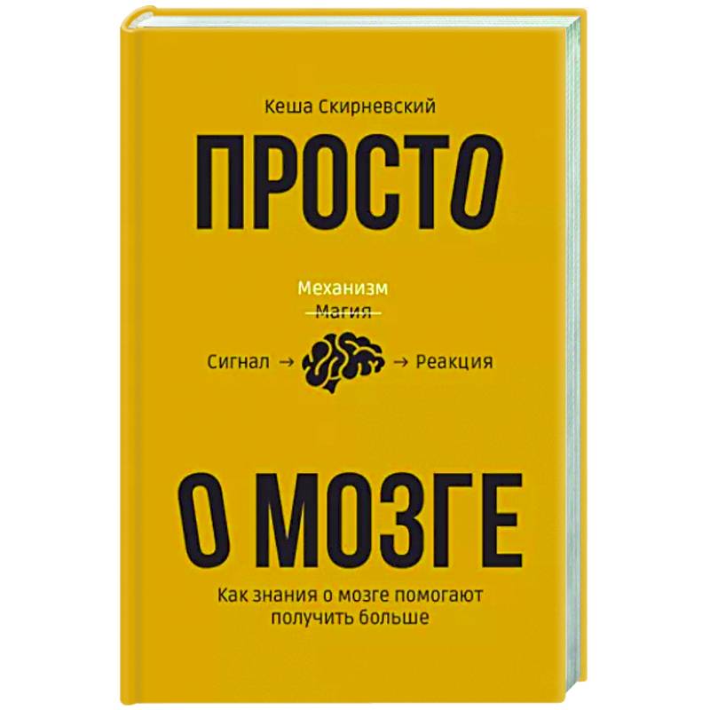 Просто о мозге. Как знания о мозге помогают получить больше Просто о мозге. Как знания о мозге помогают получить больше