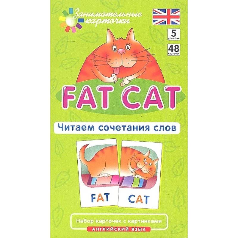 Игровой развивающий набор: Толстый кот. Fat Cat. Читаем сочетания слов. Английский язык. Игровой развивающий набор: Толстый кот. Fat Cat. Читаем сочетания слов. Английский язык.