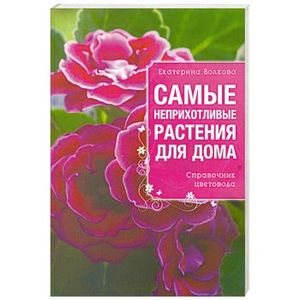 Самые неприхотливые растения для вашего дома