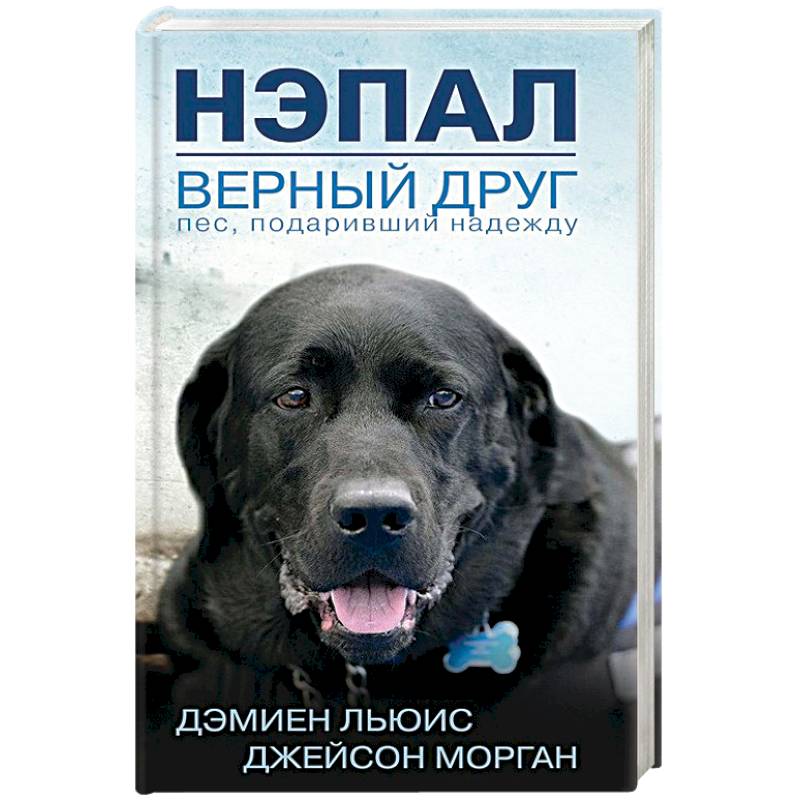 Нэпал - верный друг. Пес, подаривший надежду