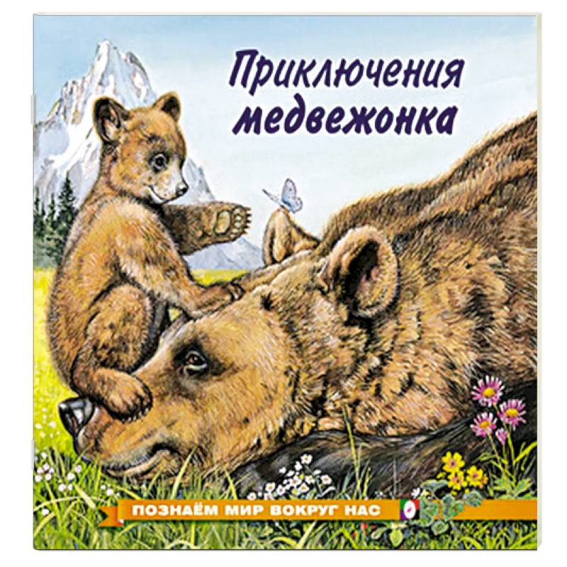 Приключения медвежонка