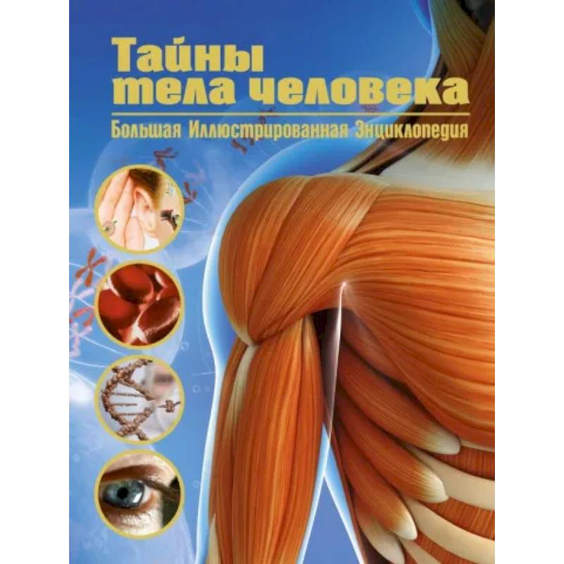 Тайны тела человека. Большая иллюстрированная энциклопедия Тайны тела человека. Большая иллюстрированная энциклопедия