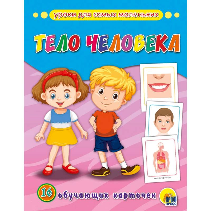 Обучающие карточки. Тело человека