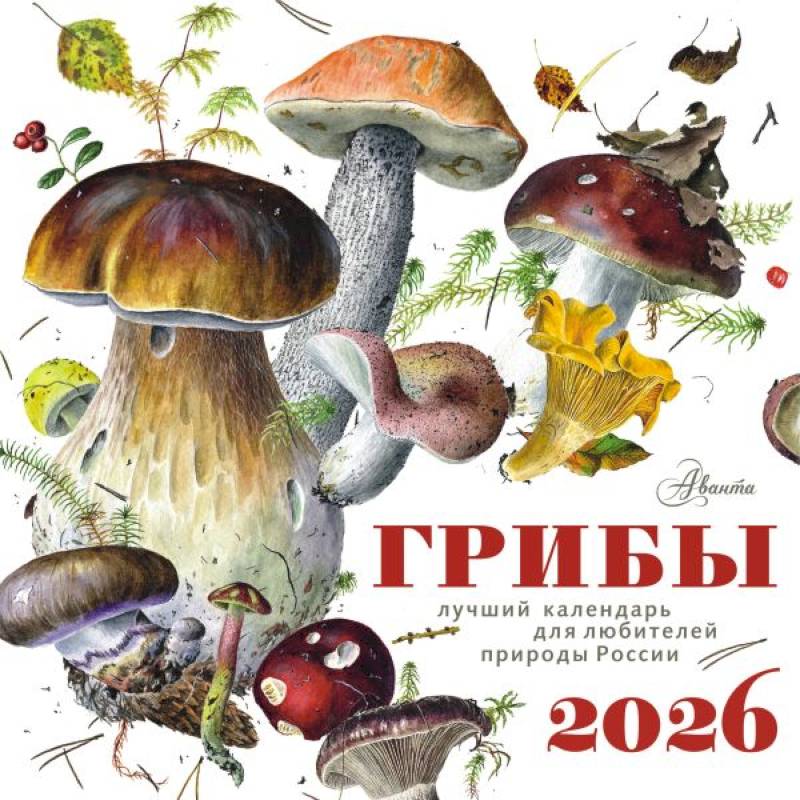 Календарь Грибы 2026 год