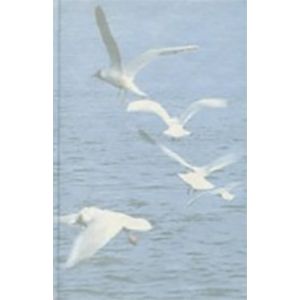 В новом веке