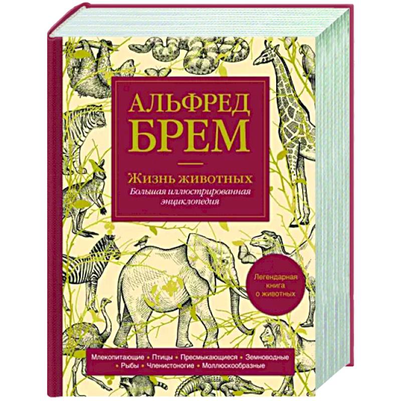 Жизнь животных. Большая иллюстрированная энциклопедия Жизнь животных. Большая иллюстрированная энциклопедия