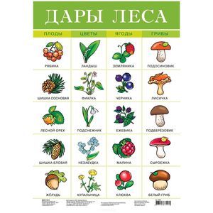 Плакат. 2093 Дары леса