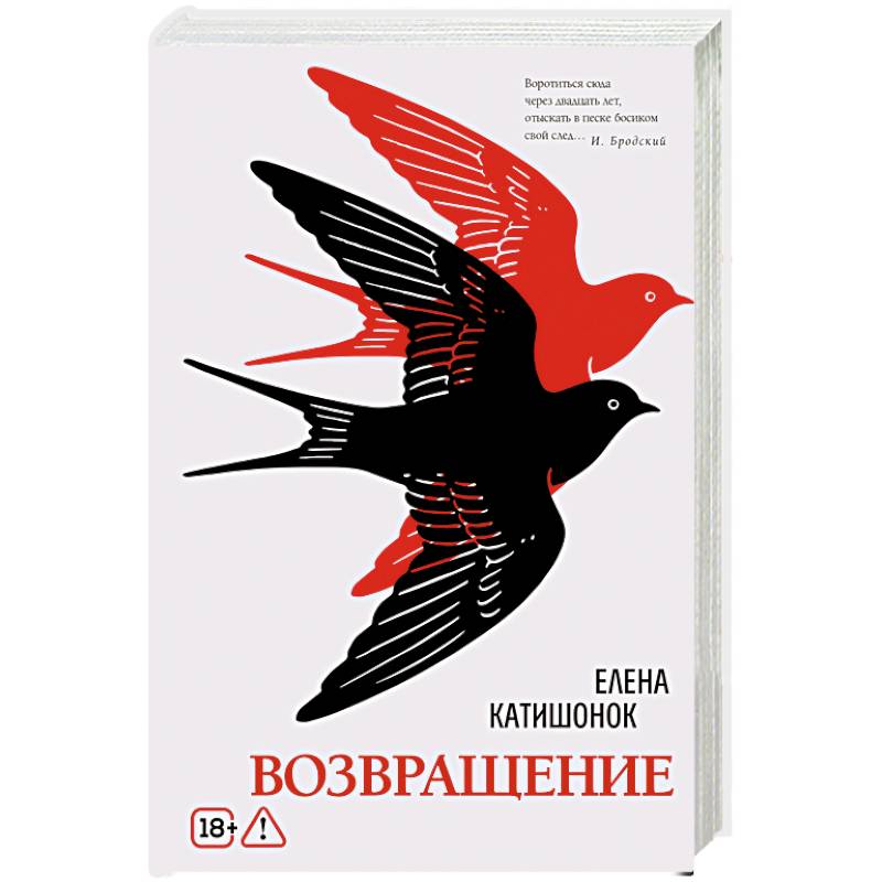 Возвращение: роман